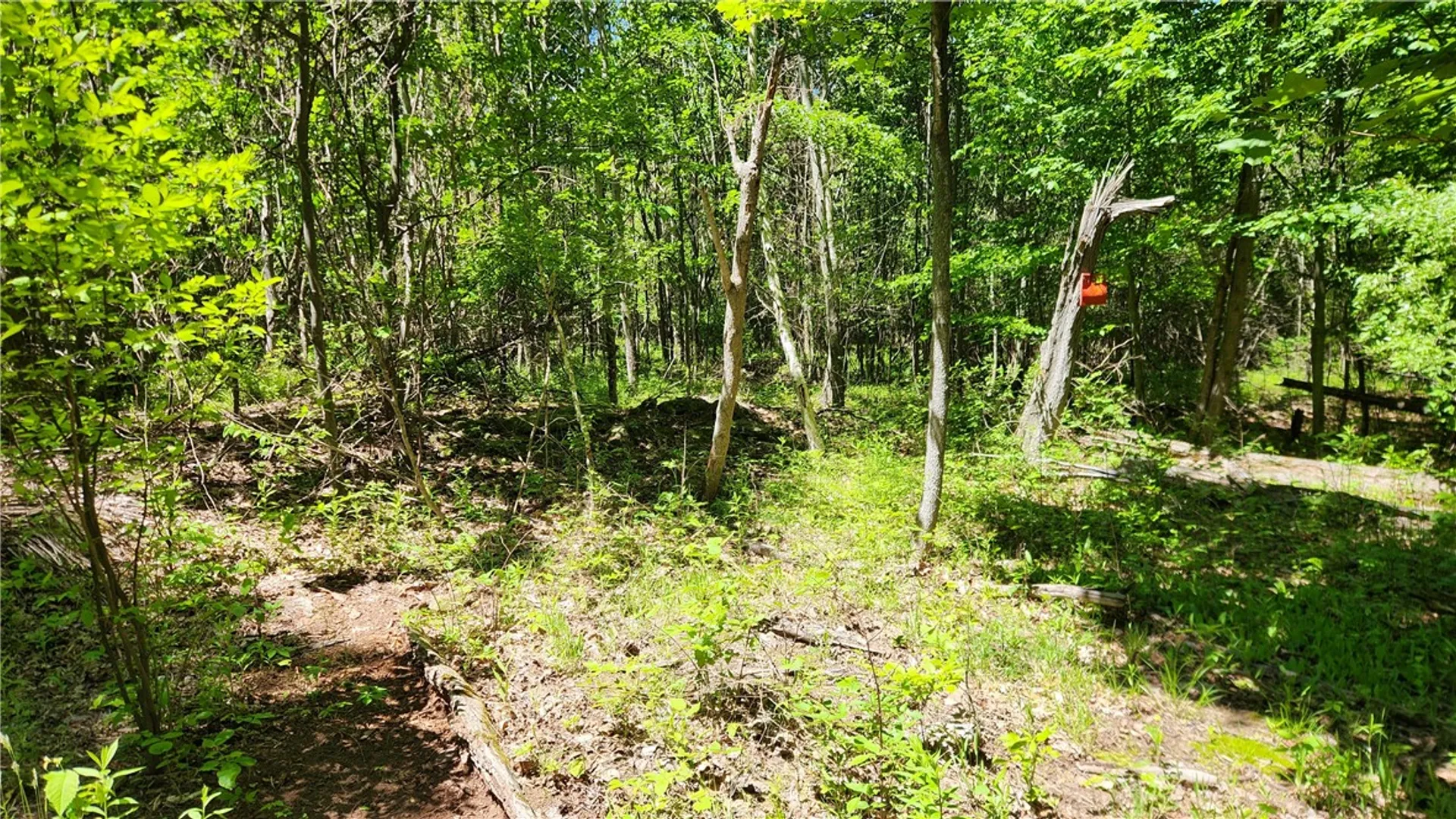 Property at 7383 Lakeside Road, Ontario, NY 14519 42