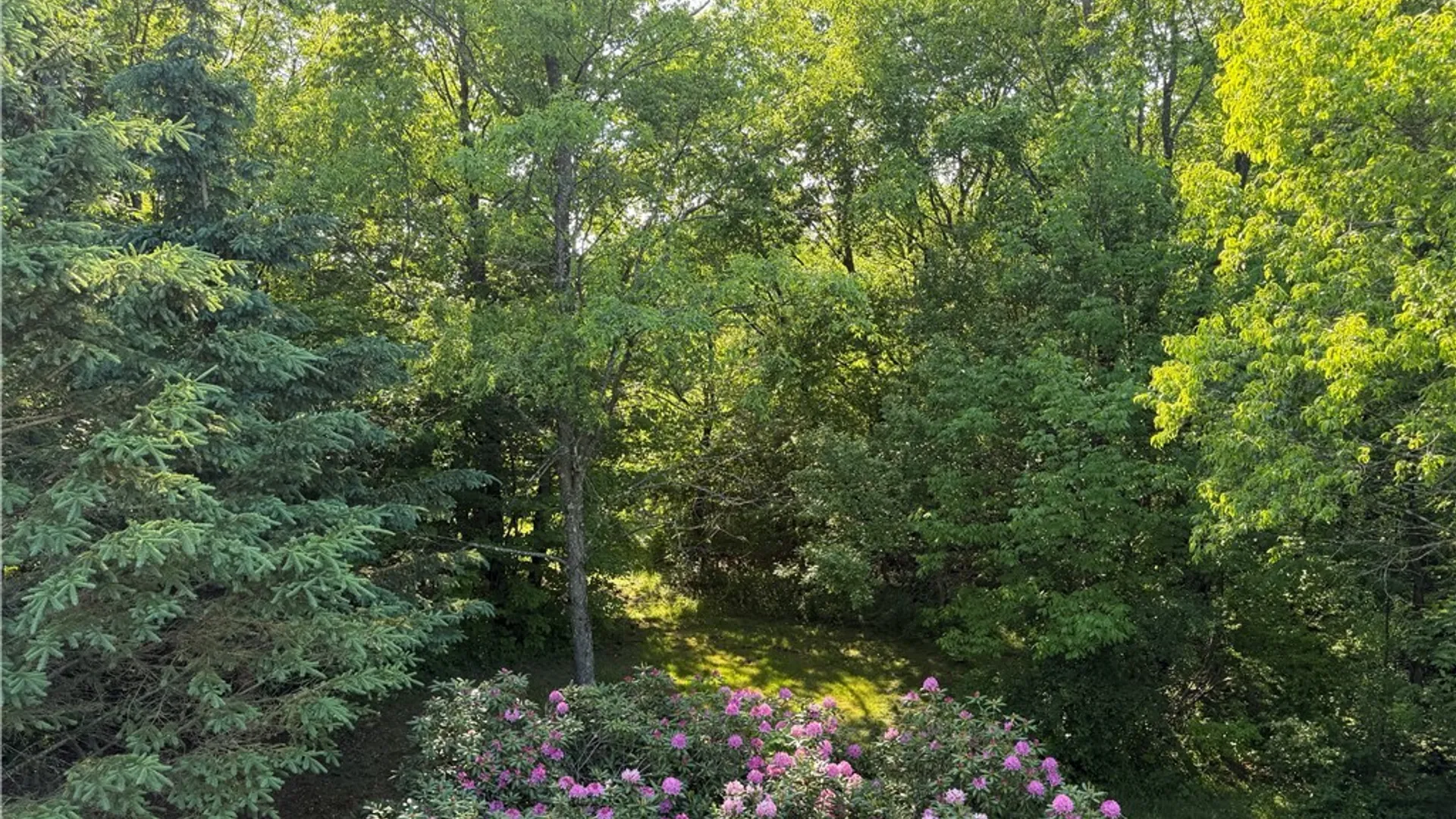 Property at 3777 County Route 95, Worth, NY 13659 15