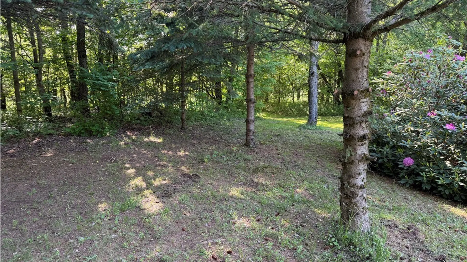 Property at 3777 County Route 95, Worth, NY 13659 17