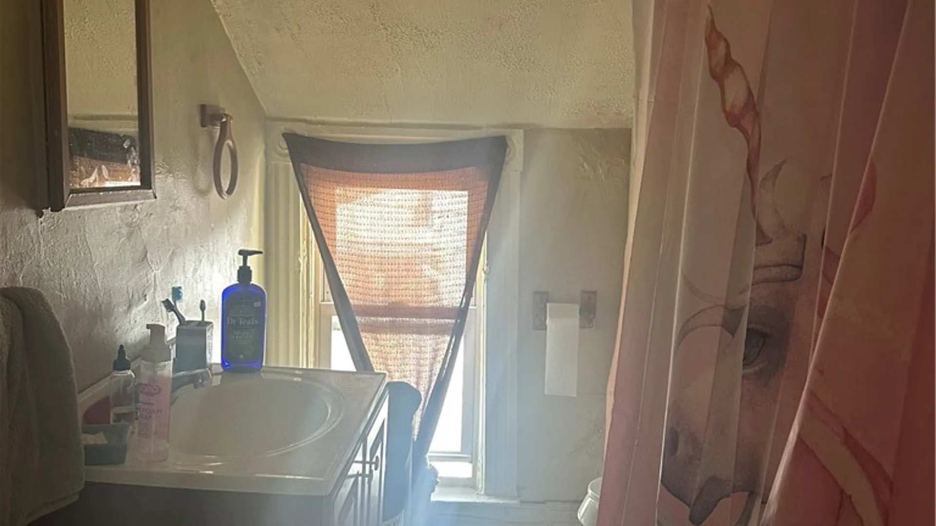 Property at 2813 10th Street, Niagara Falls, NY 14305 8