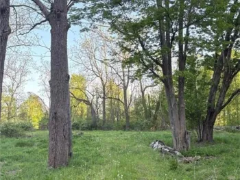 Property at 1441 Sturgeon Point Road, Evans, NY 14047