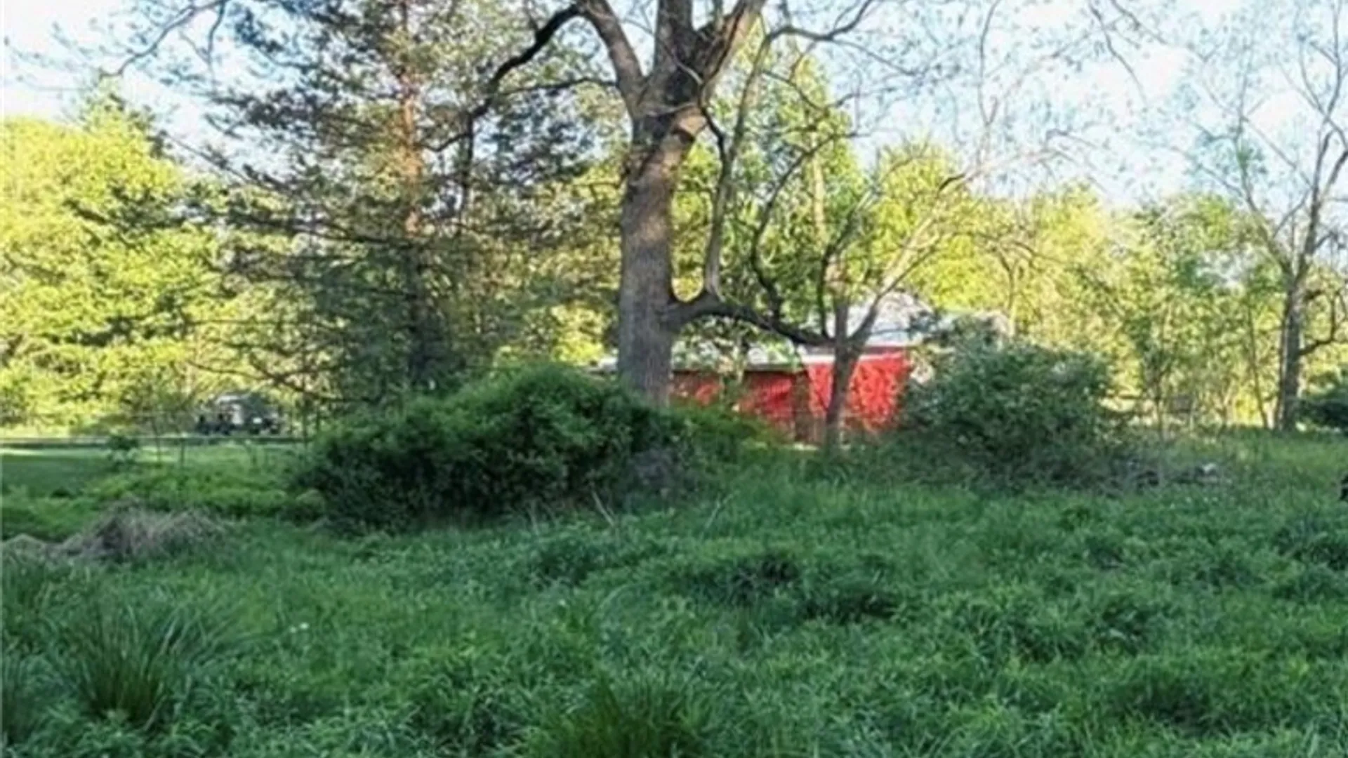 Property at 1441 Sturgeon Point Road, Evans, NY 14047 2