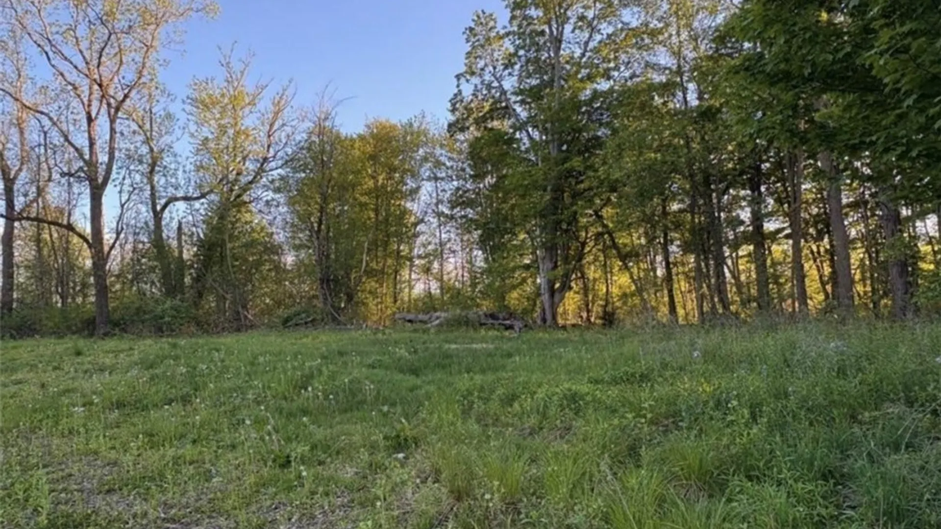 Property at 1441 Sturgeon Point Road, Evans, NY 14047 4