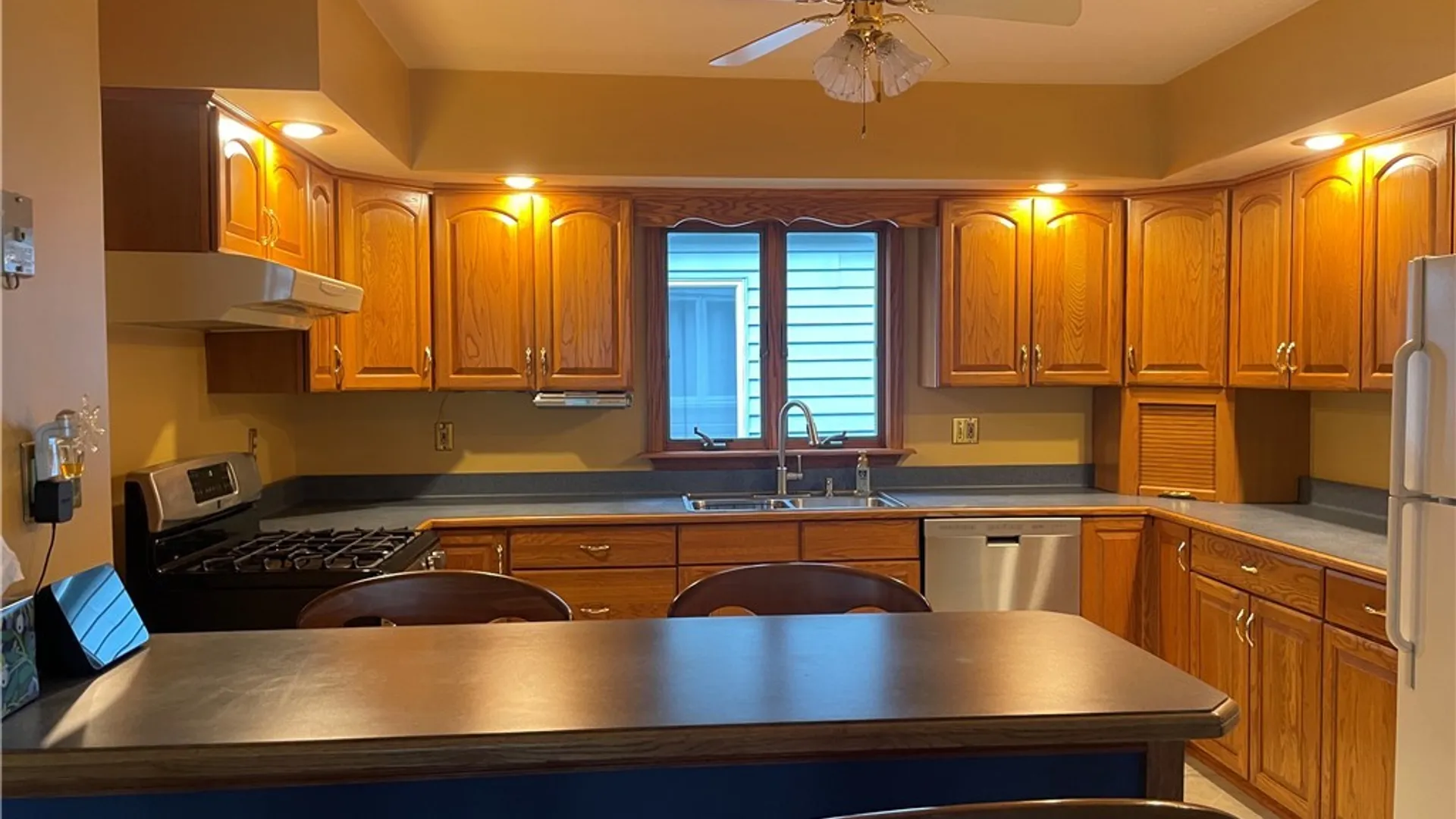 Property at 259 Eden Street, Buffalo, NY 14220 13
