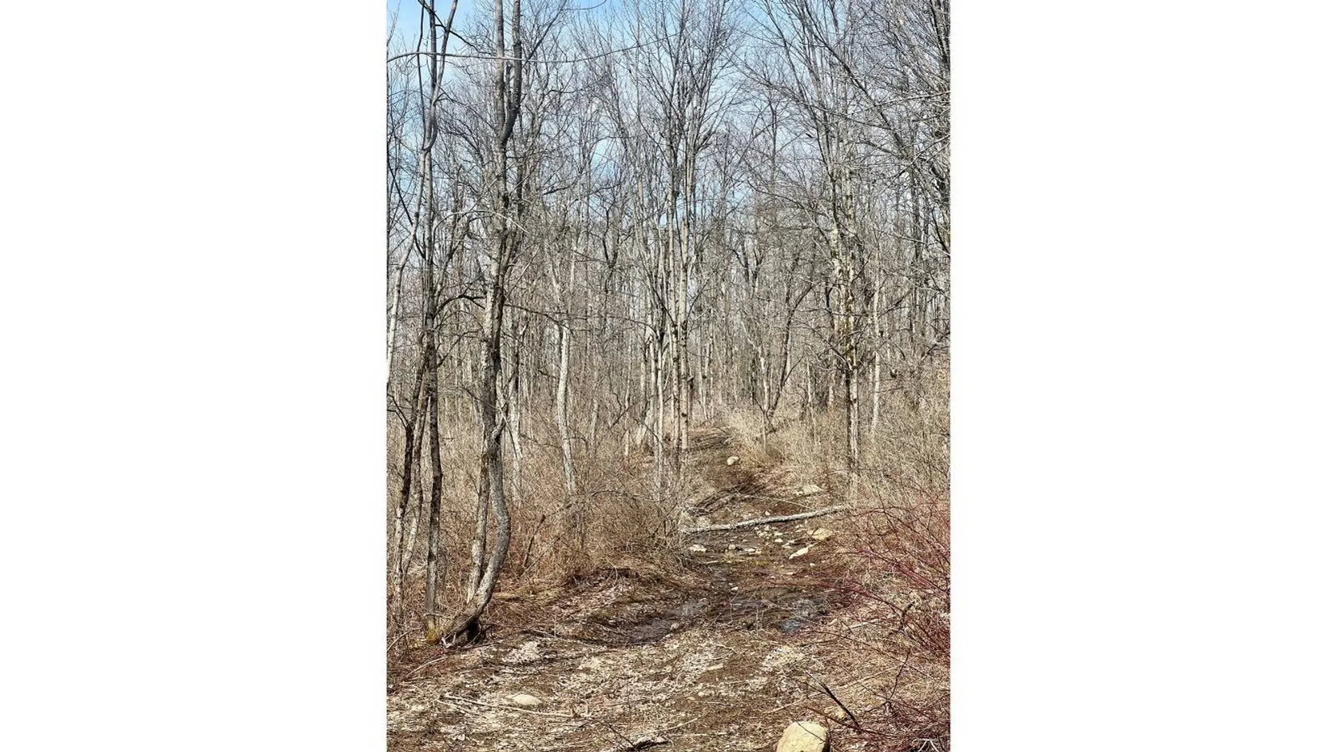 Property at 1601 NY-29, Little Falls, NY 13365 5