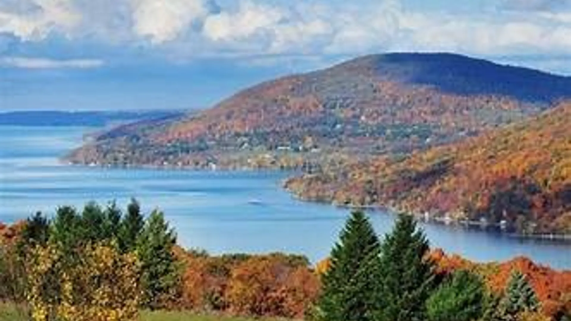 Property at 7113 State Route 21 Road, South Bristol, NY 14512 46