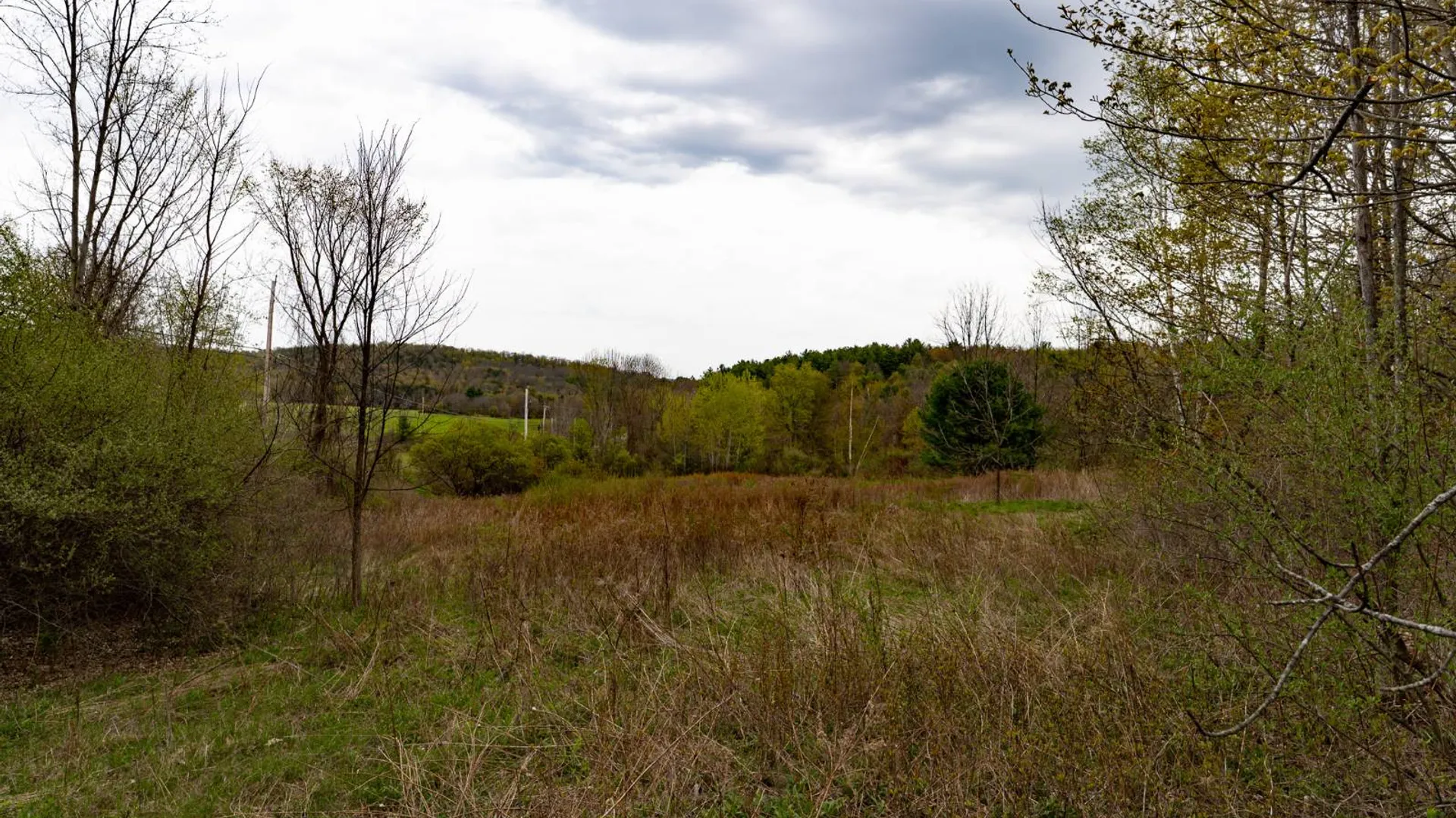 Property at 00WP1 Cr 352, Medusa, NY 12120 16