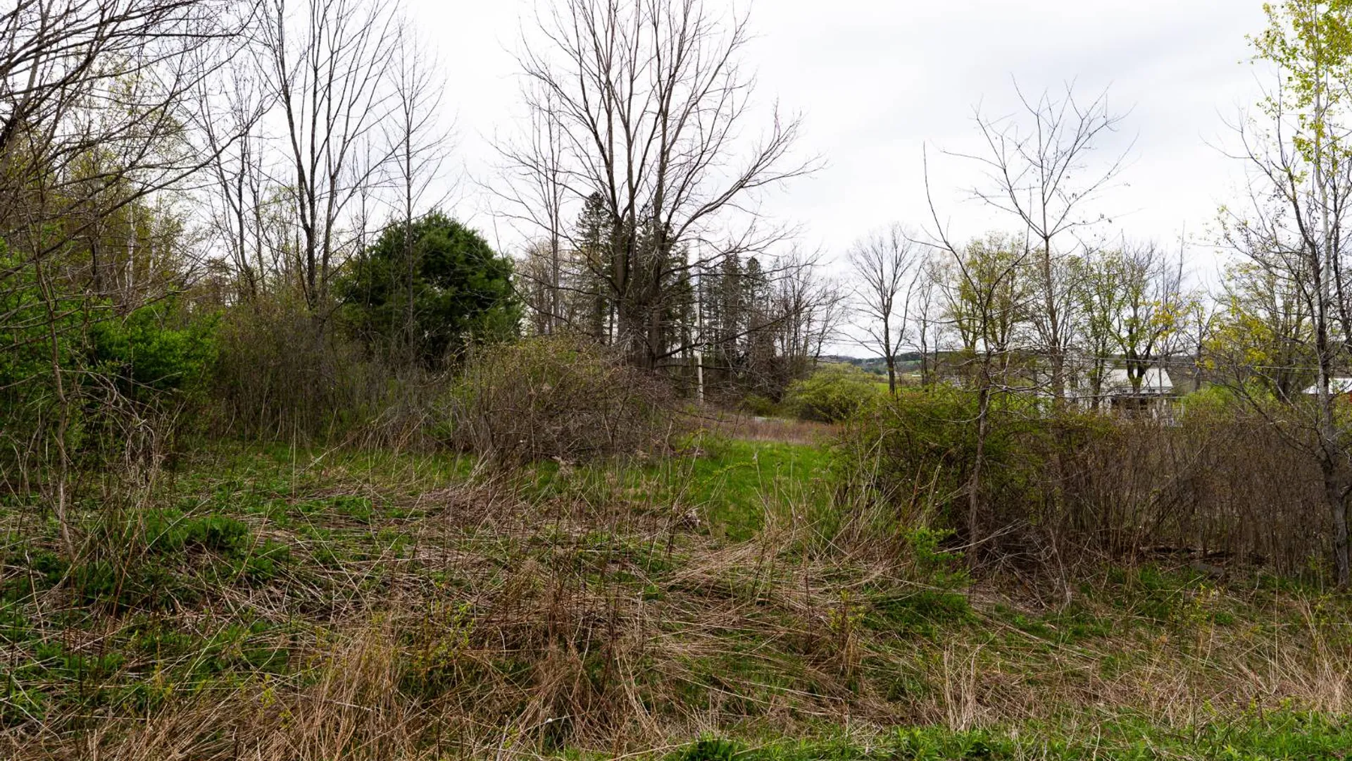 Property at 00WP1 Cr 352, Medusa, NY 12120 19