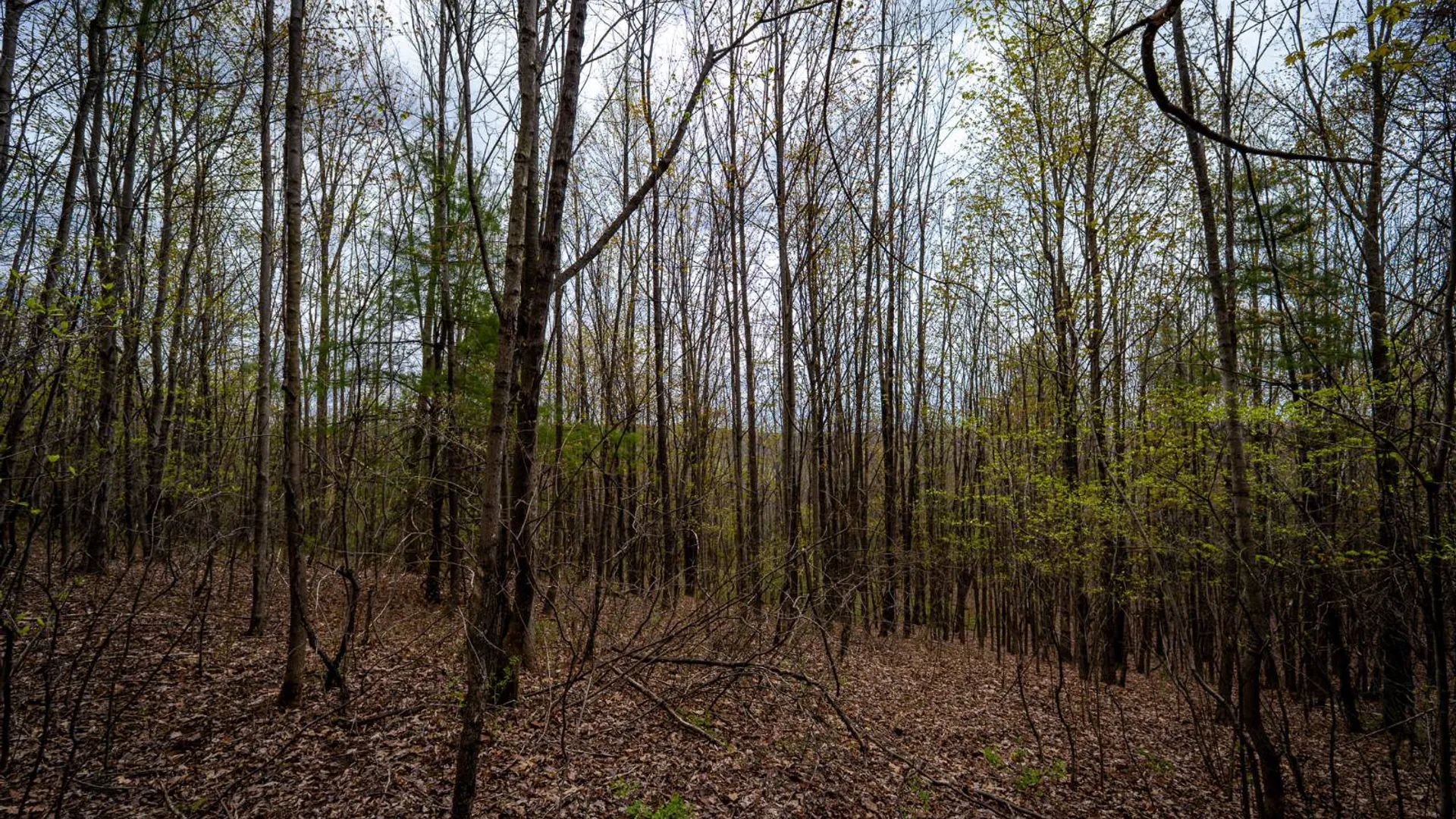 Property at 00WP1 Cr 352, Medusa, NY 12120 21