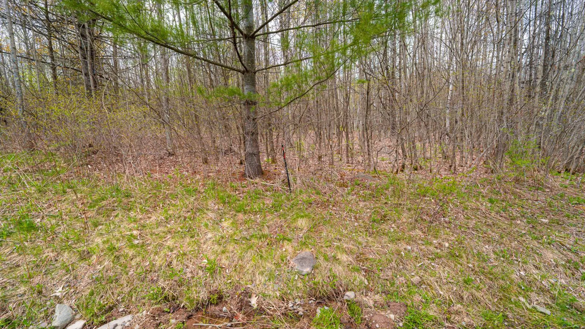 Property at 00WP1 Cr 352, Medusa, NY 12120 24