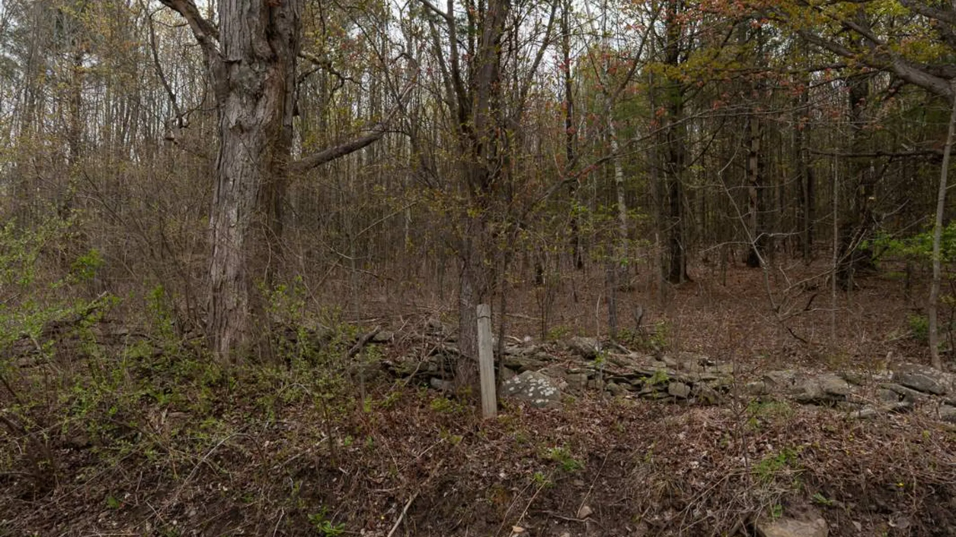 Property at 00WP1 Cr 352, Medusa, NY 12120 25