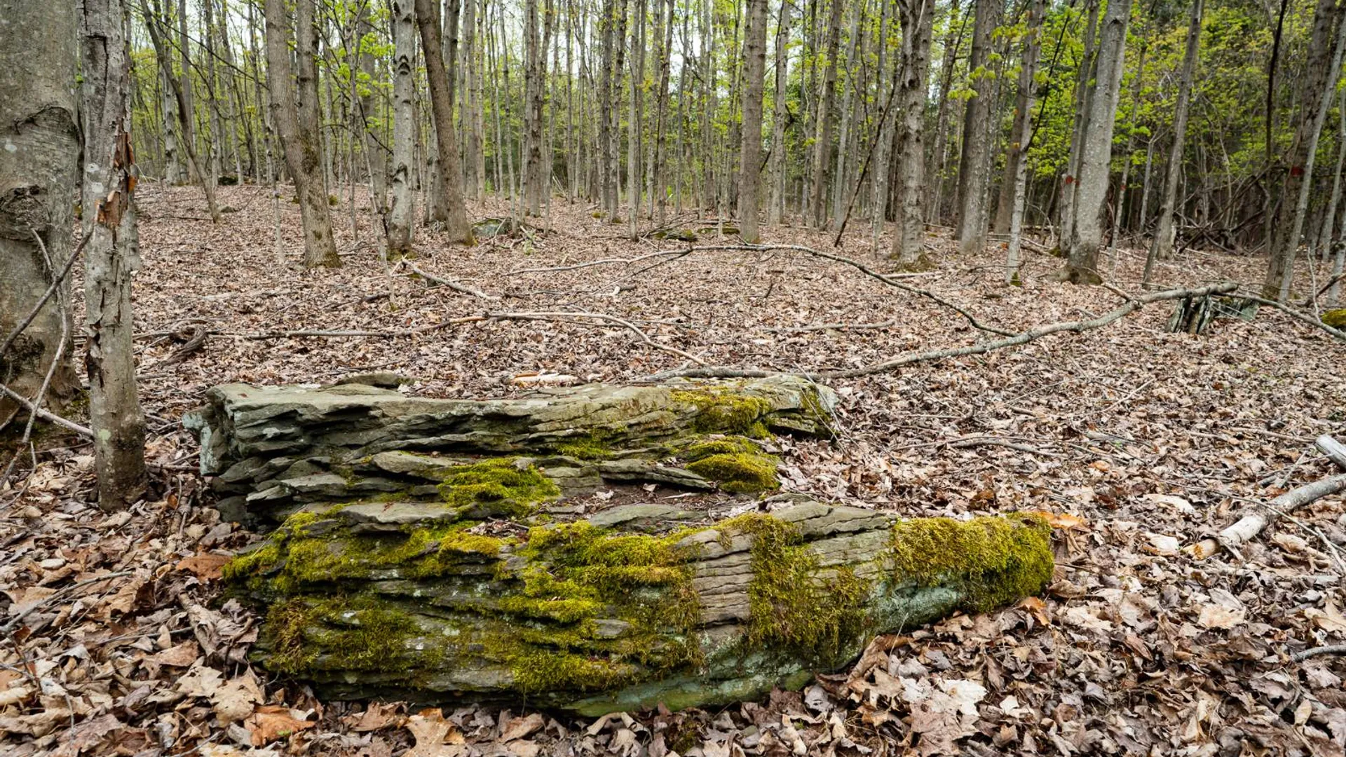 Property at 00WP1 Cr 352, Medusa, NY 12120 26