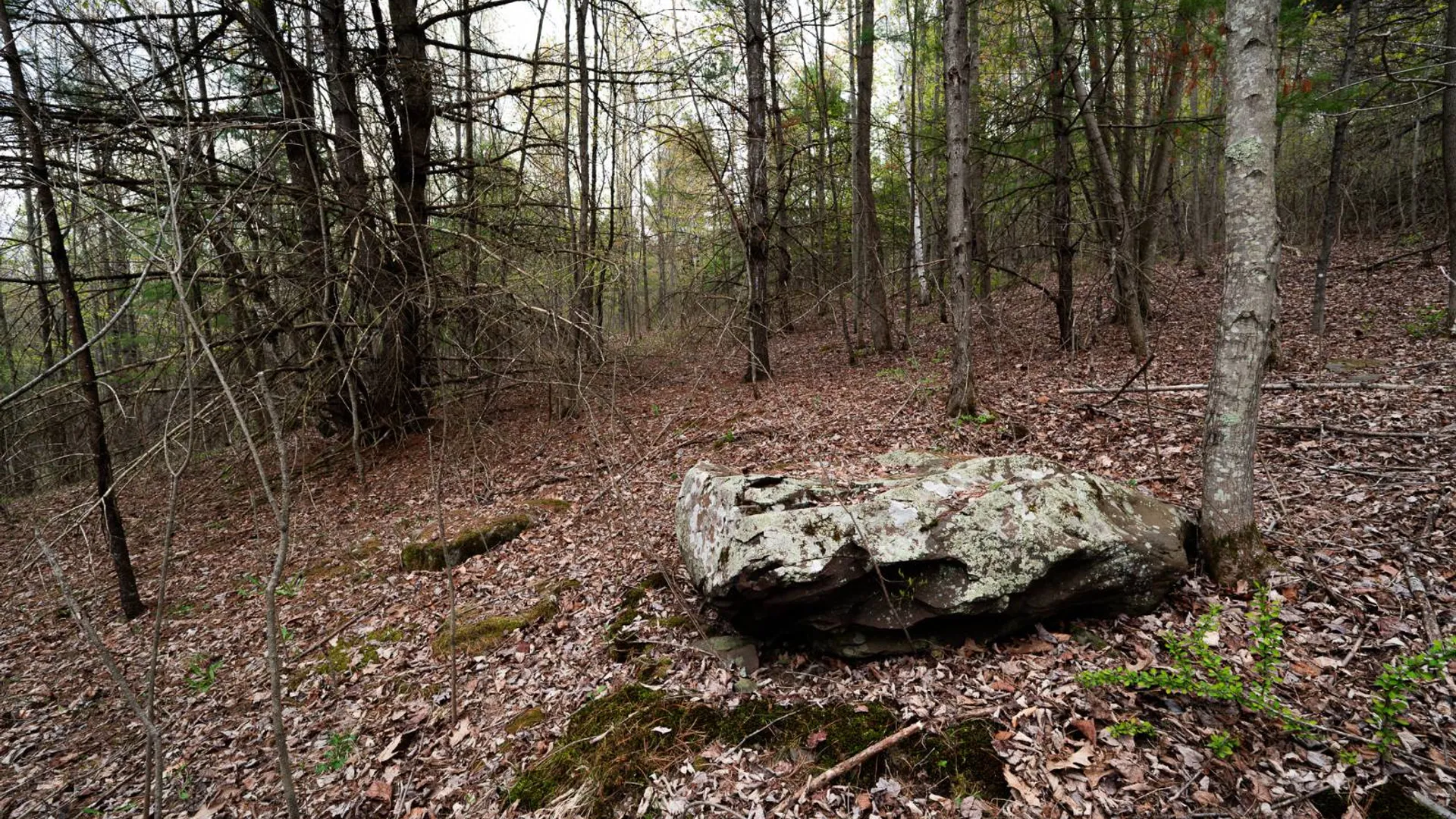 Property at 00WP1 Cr 352, Medusa, NY 12120 30