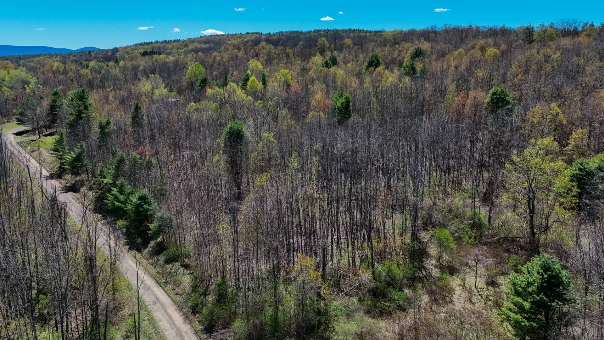 Property at 00WP1 Cr 352, Medusa, NY 12120 4