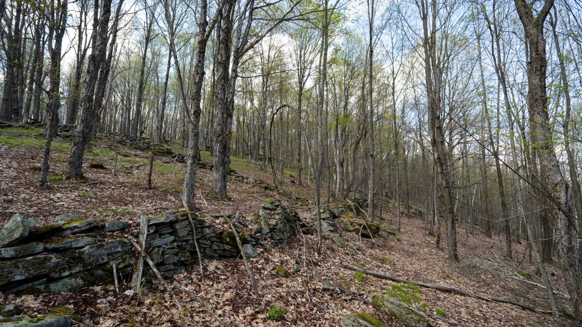 Property at 00WP De Nicola Rd, Fleischmanns, NY 12430 10