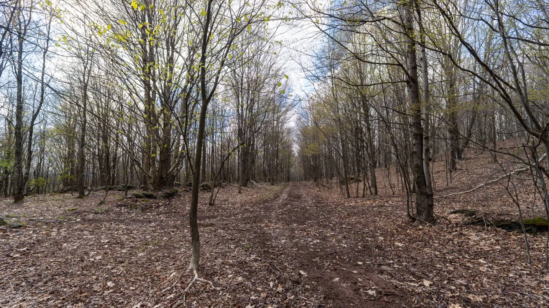 Property at 00WP De Nicola Rd, Fleischmanns, NY 12430 17