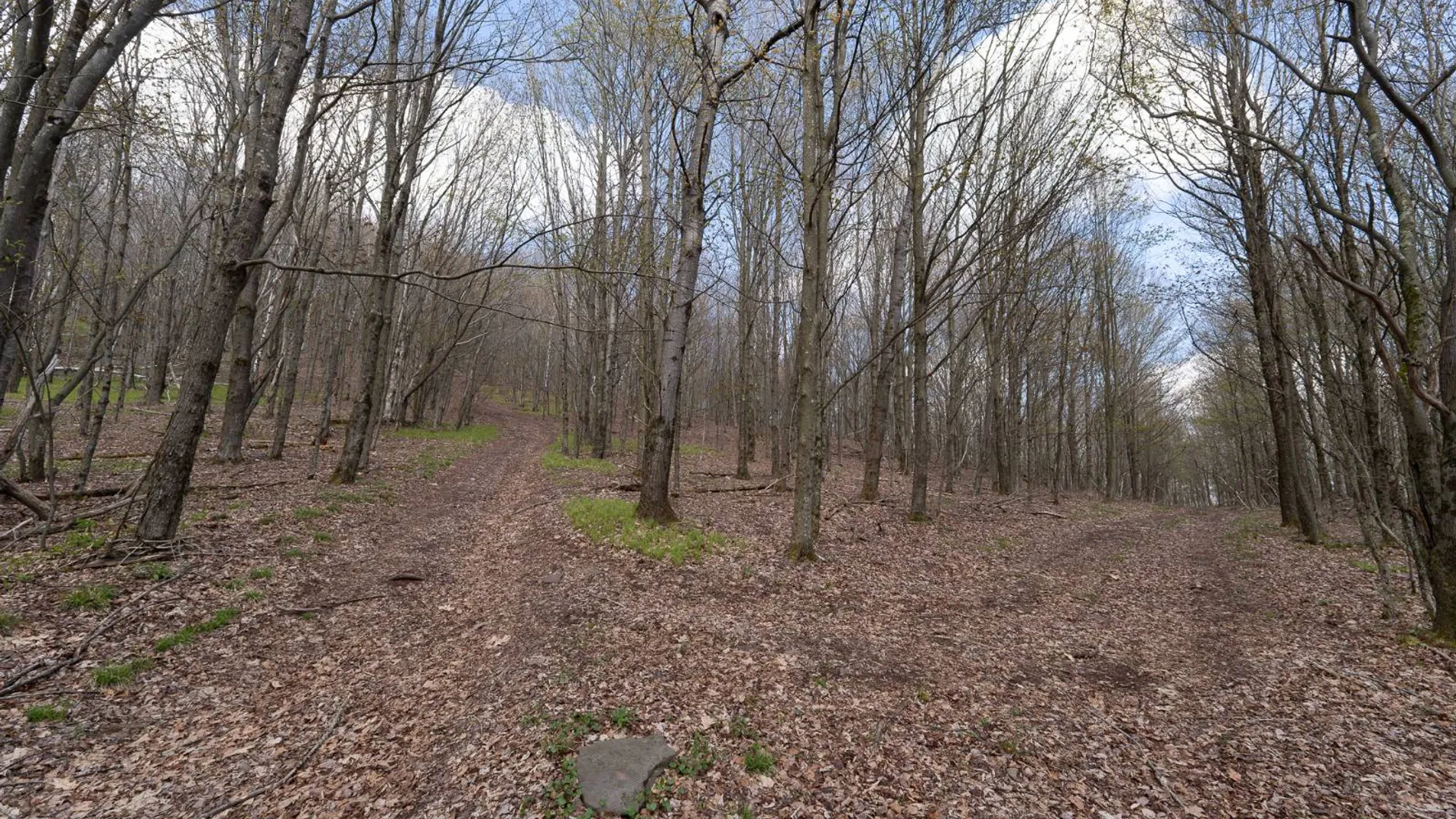 Property at 00WP De Nicola Rd, Fleischmanns, NY 12430 18