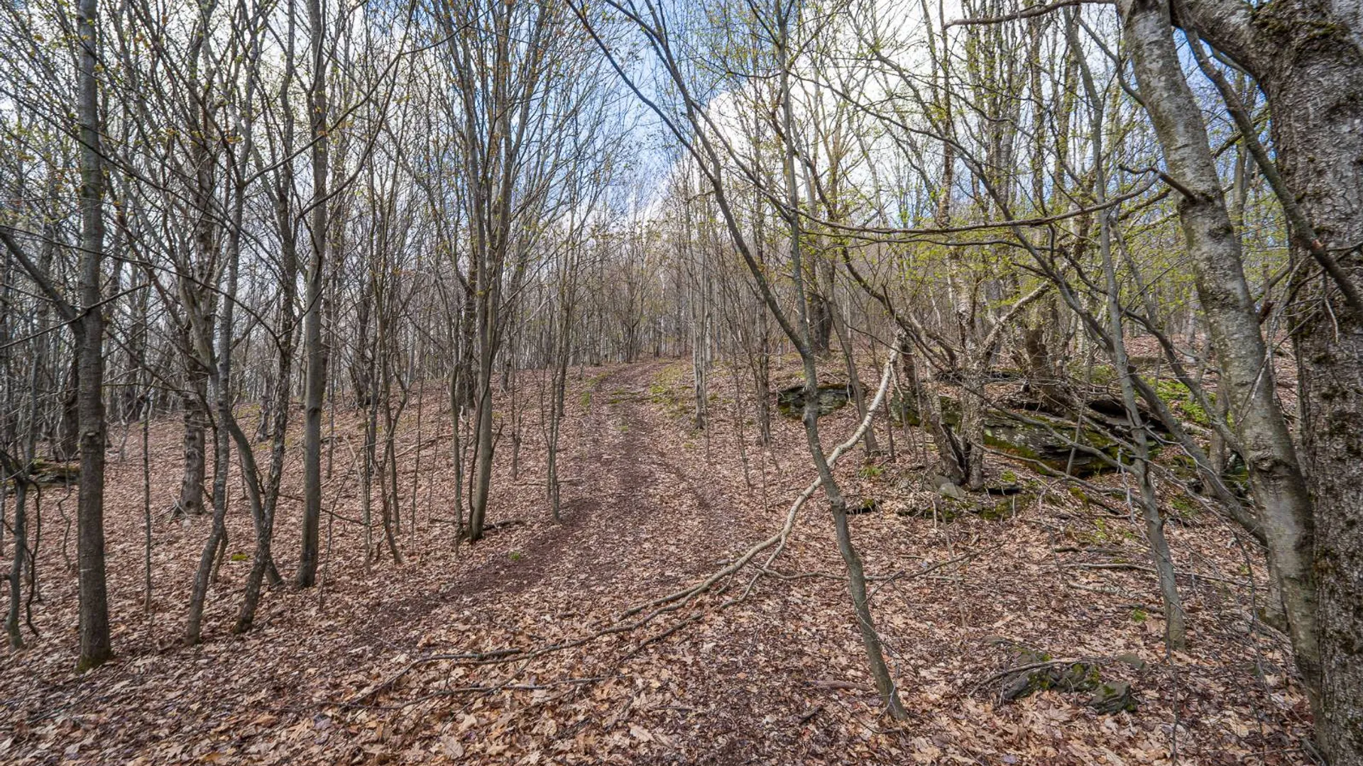 Property at 00WP De Nicola Rd, Fleischmanns, NY 12430 20