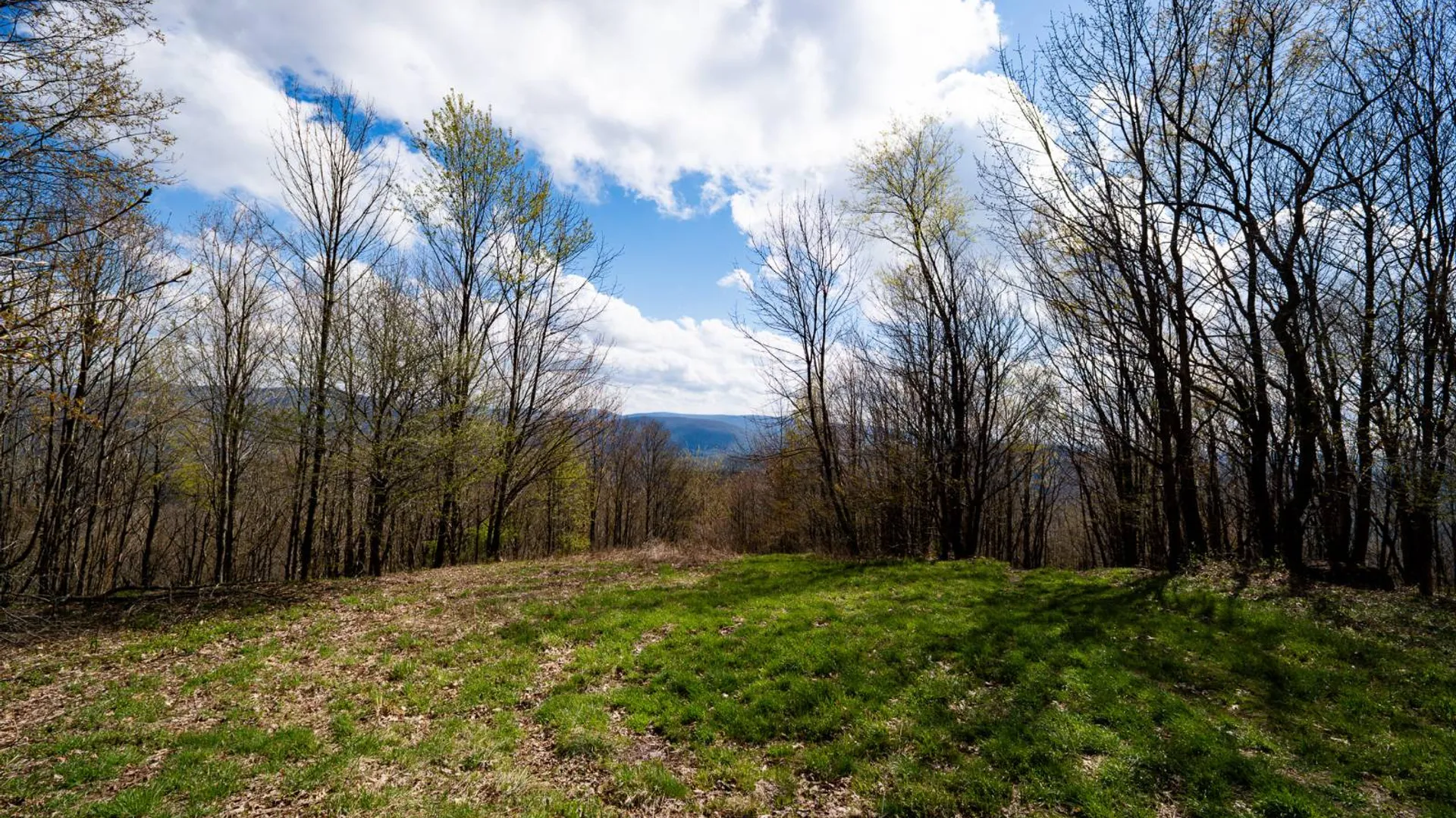 Property at 00WP De Nicola Rd, Fleischmanns, NY 12430 21