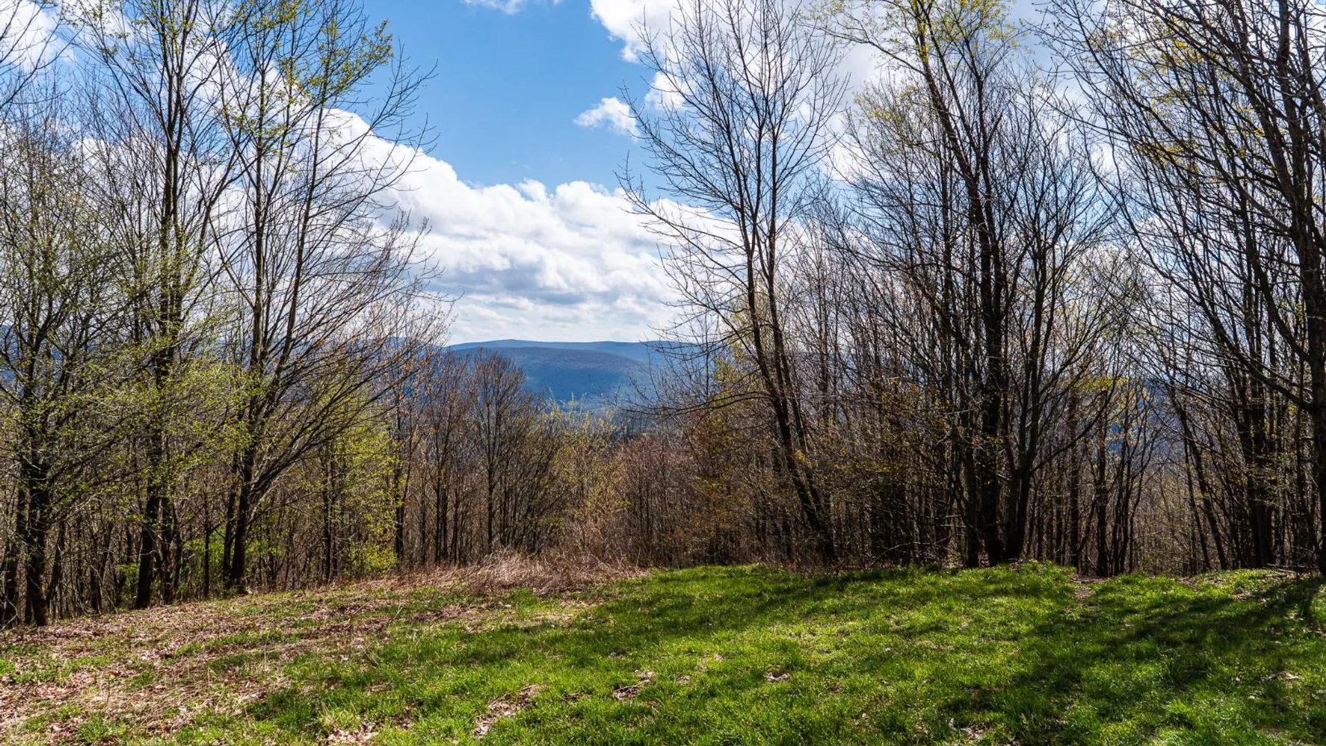 Property at 00WP De Nicola Rd, Fleischmanns, NY 12430 22