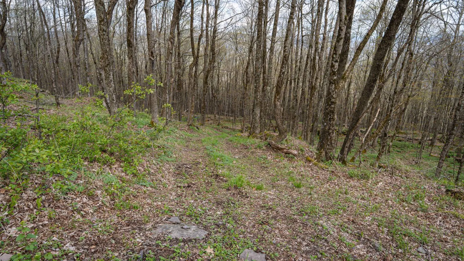Property at 00WP De Nicola Rd, Fleischmanns, NY 12430 41