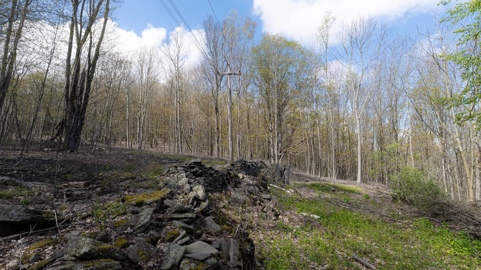 Property at 00WP De Nicola Rd, Fleischmanns, NY 12430 9