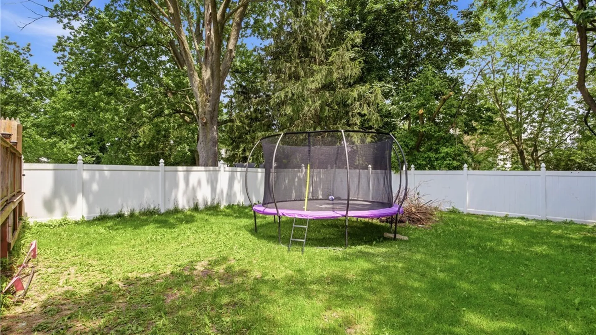 Property at 230 Bank St, Batavia City, NY 14020 27
