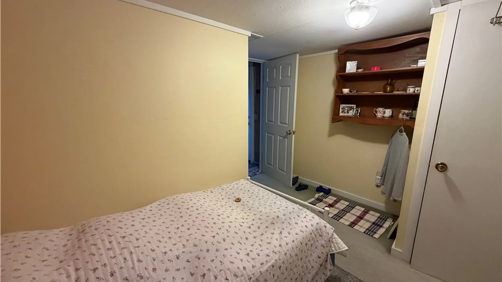 Property at 407 Walnut Street, Manlius, NY 13066 14