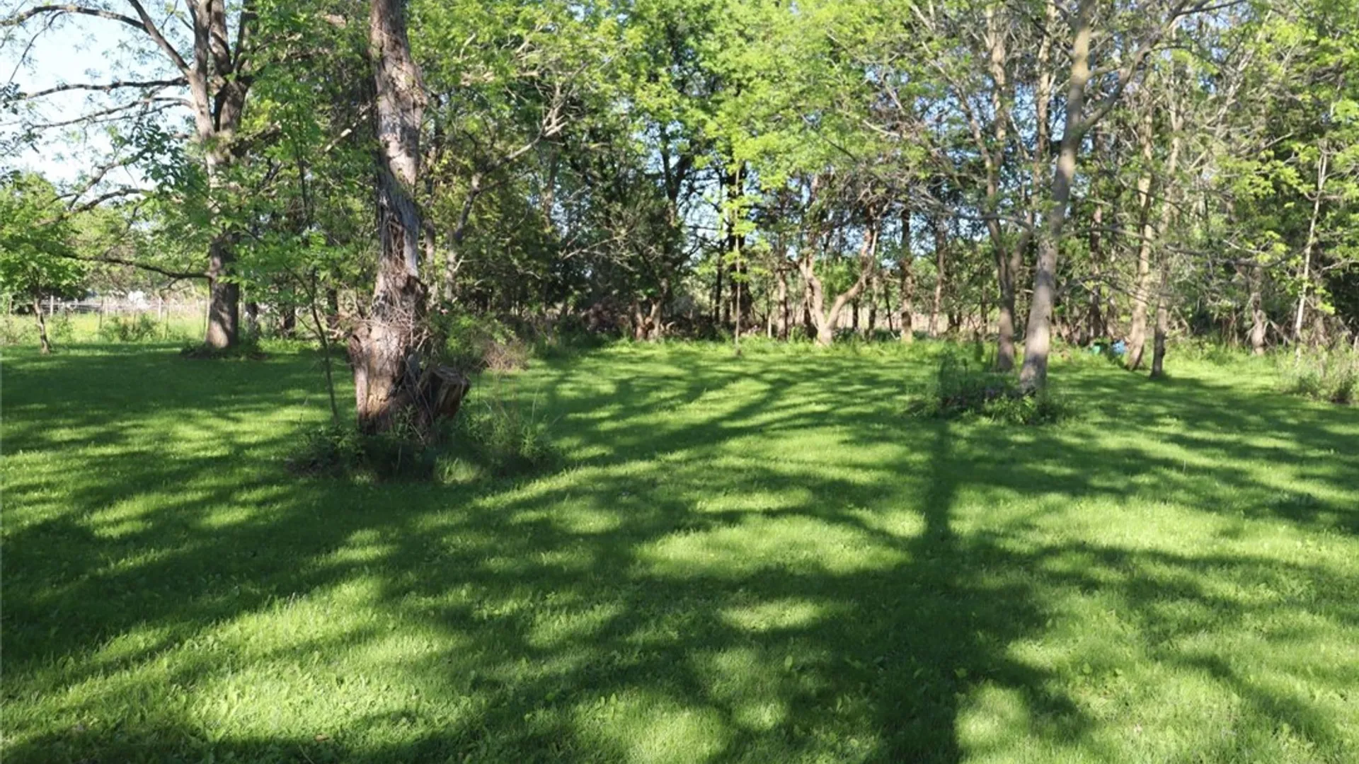 Property at 314 Root Road, Sweden, NY 14420 6