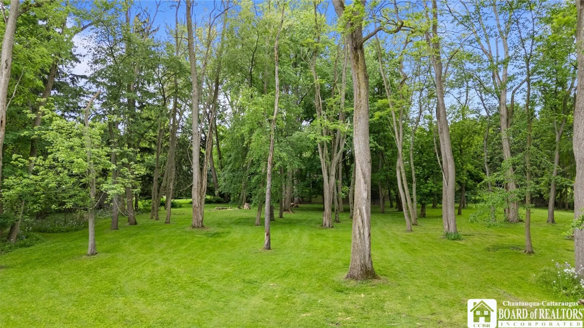 Property at 315 Chestnut Street, Pomfret, NY 14063 41
