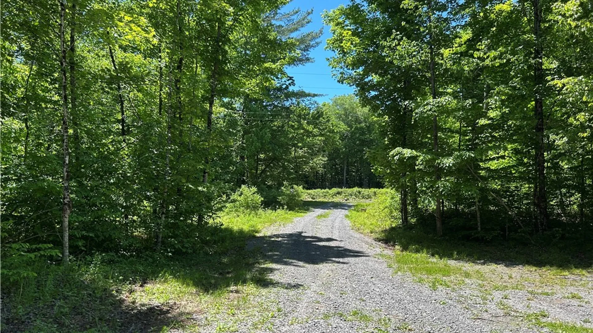 Property at 7702 Hiawatha Lake Road, Greig, NY 13343 12