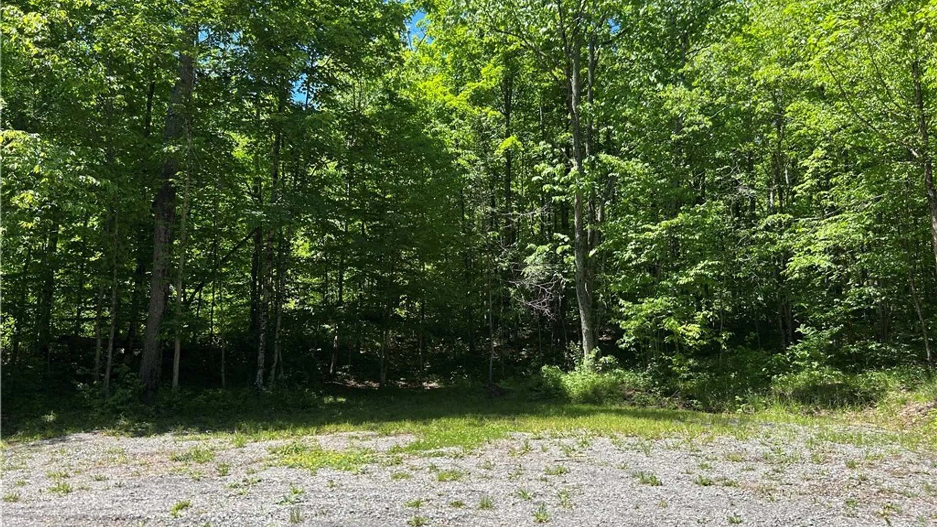 Property at 7702 Hiawatha Lake Road, Greig, NY 13343 14