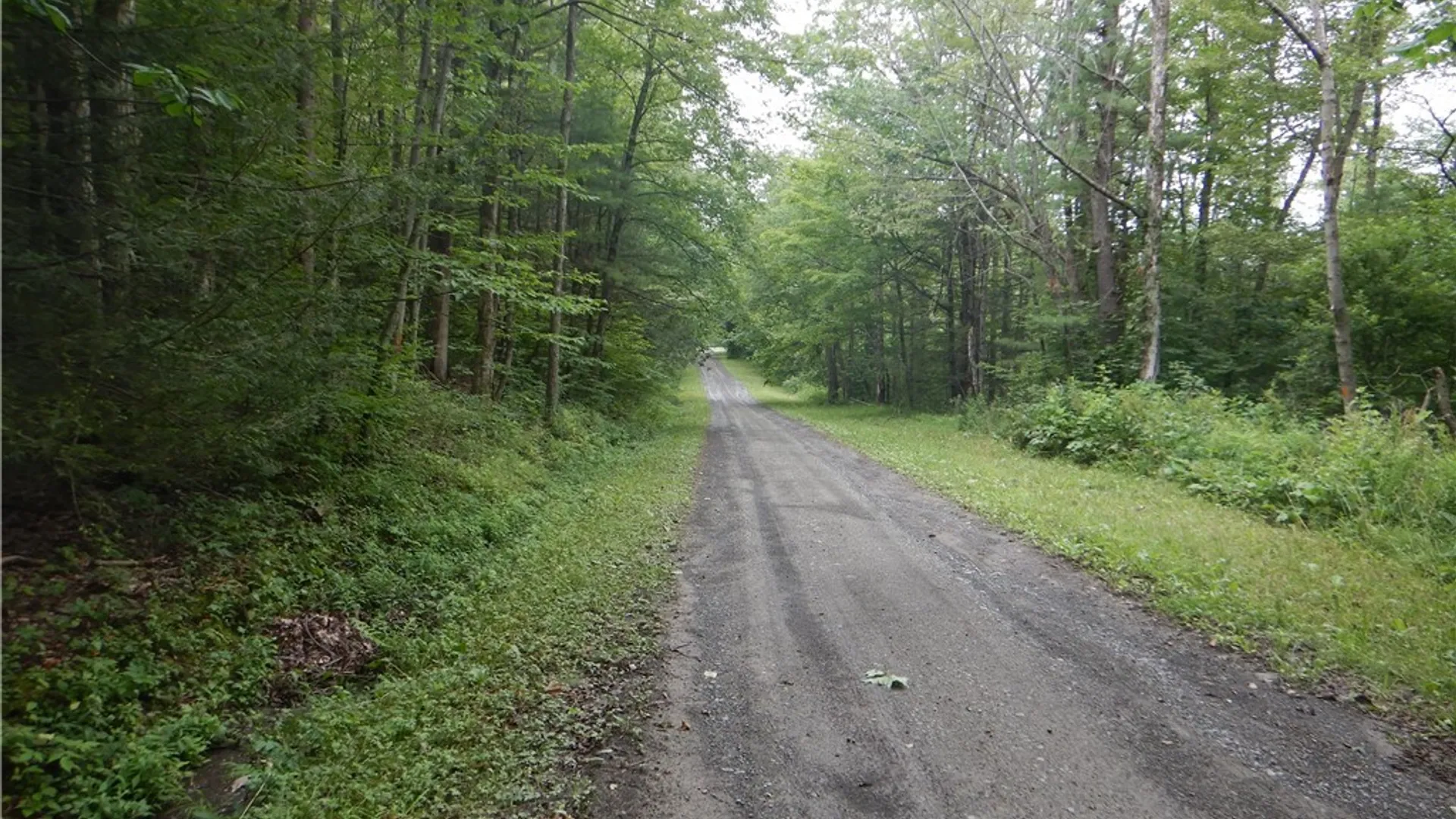 Property at Bull Hill Road, Newfield, NY 14867 16