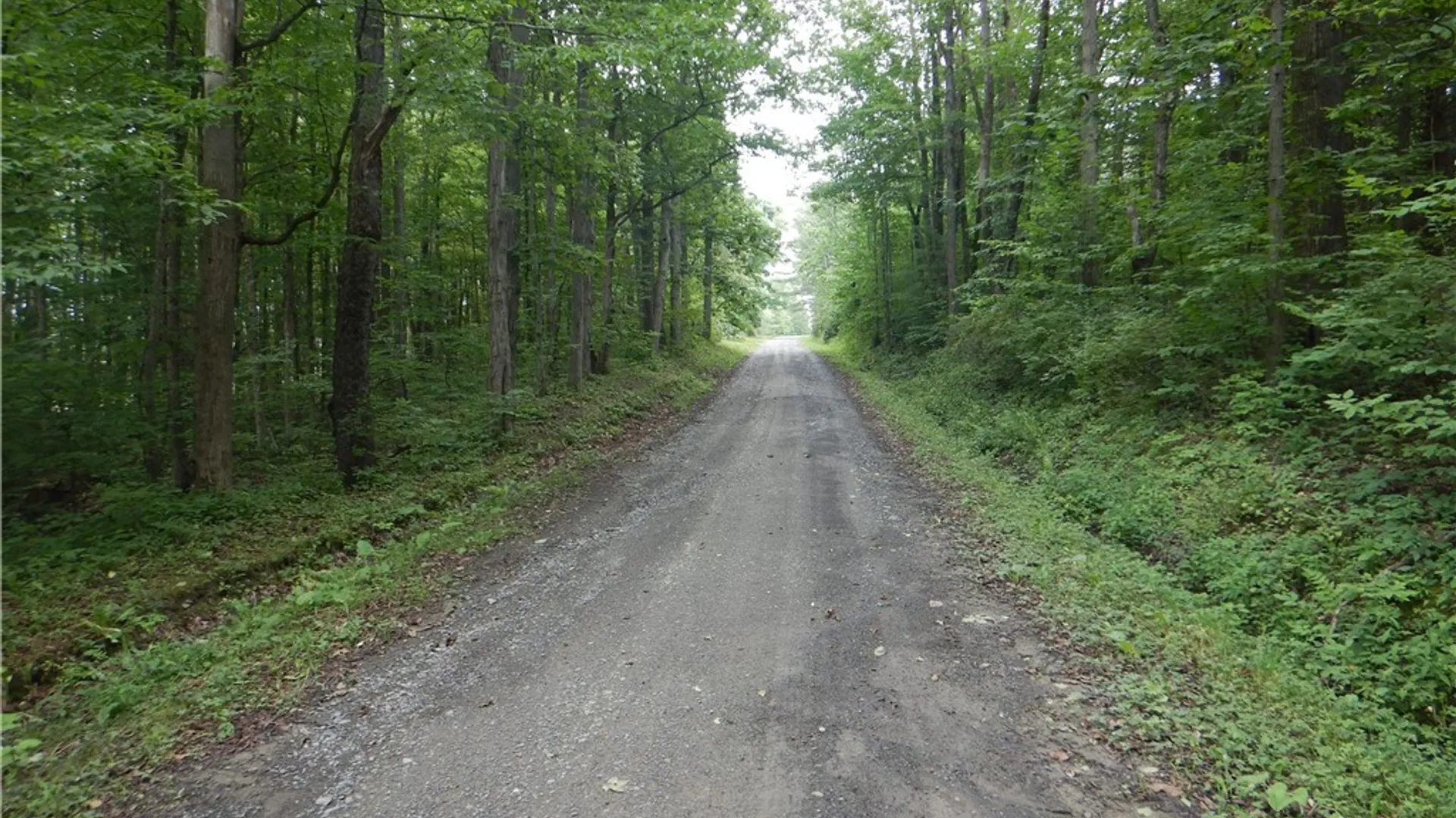 Property at Bull Hill Road, Newfield, NY 14867 17