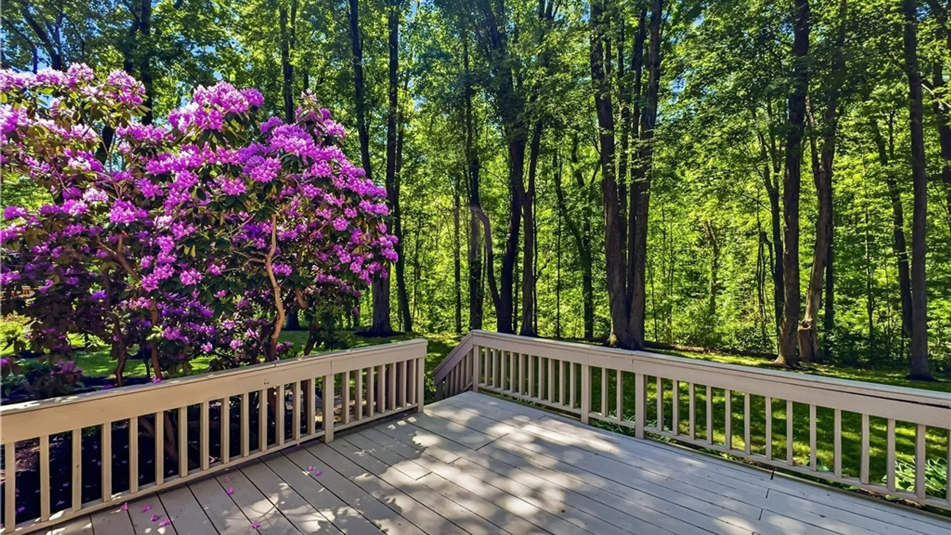 Property at 8750 Tallwood Ridge, Lysander, NY 13027 43