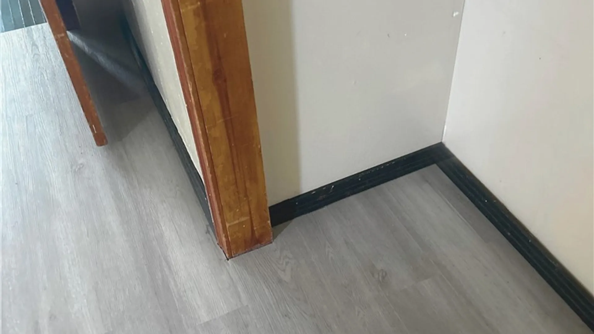 Property at 246 Carl Street, Buffalo, NY 14215 11