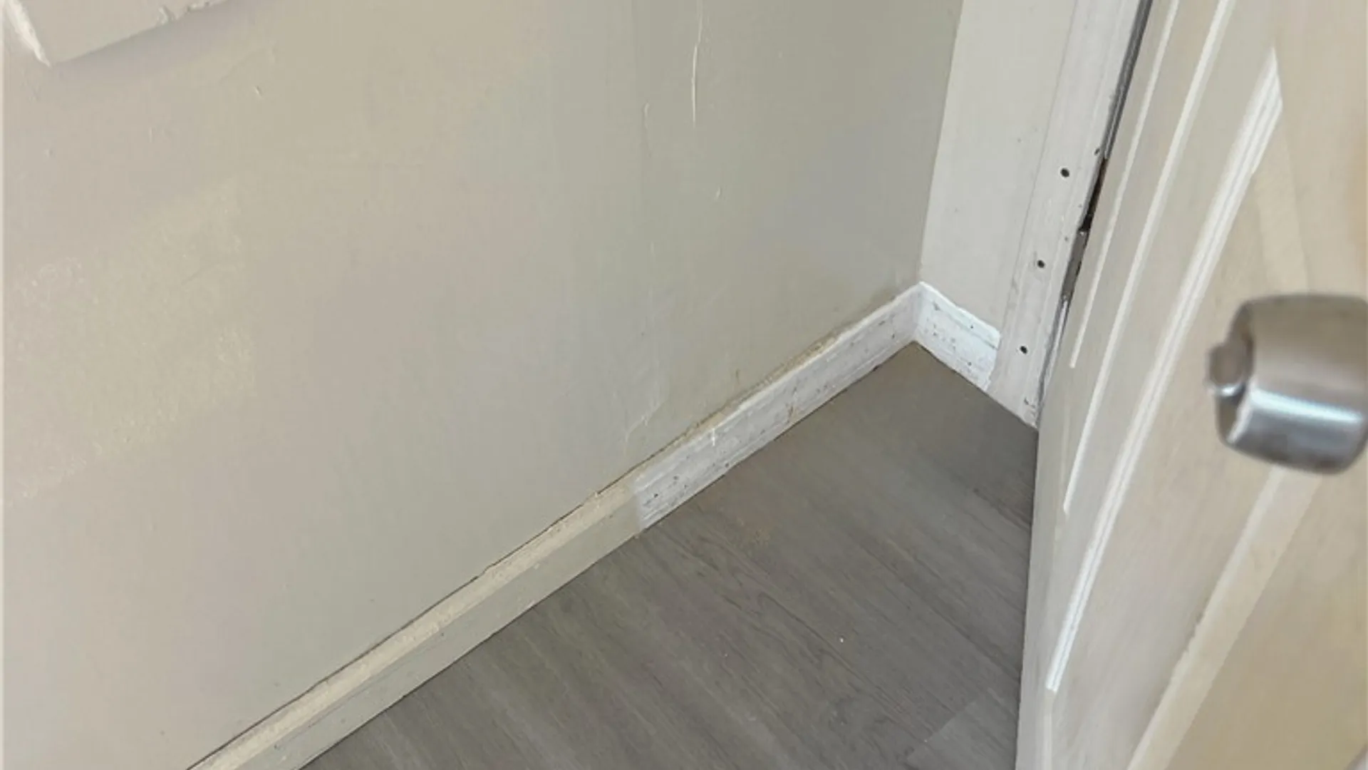 Property at 246 Carl Street, Buffalo, NY 14215 13