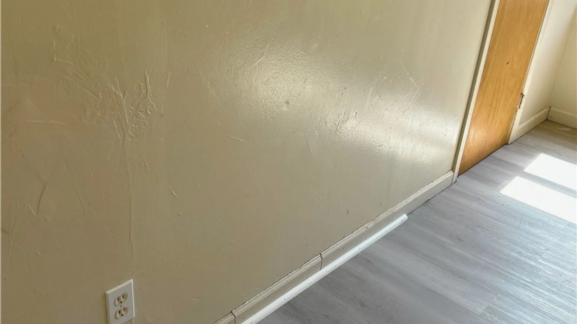 Property at 246 Carl Street, Buffalo, NY 14215 15