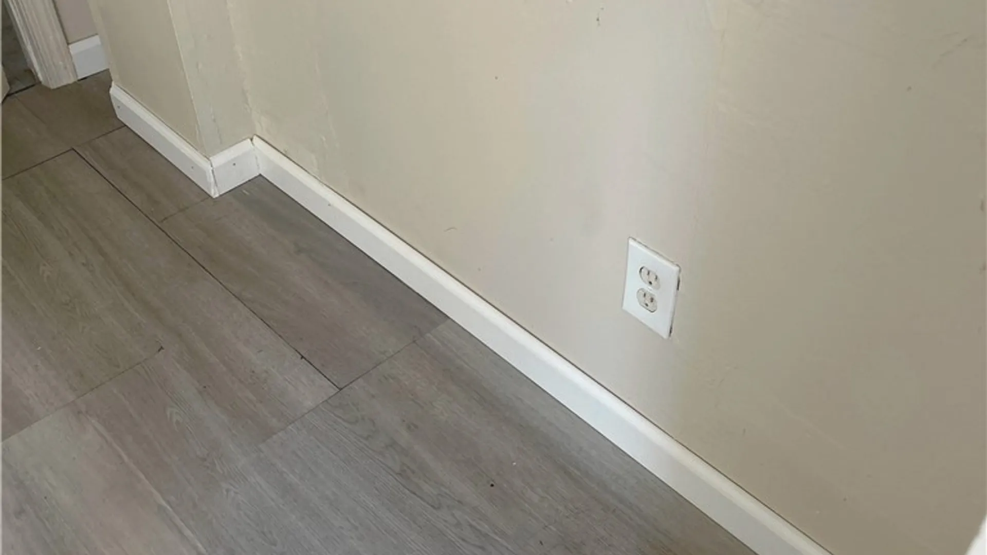 Property at 246 Carl Street, Buffalo, NY 14215 16