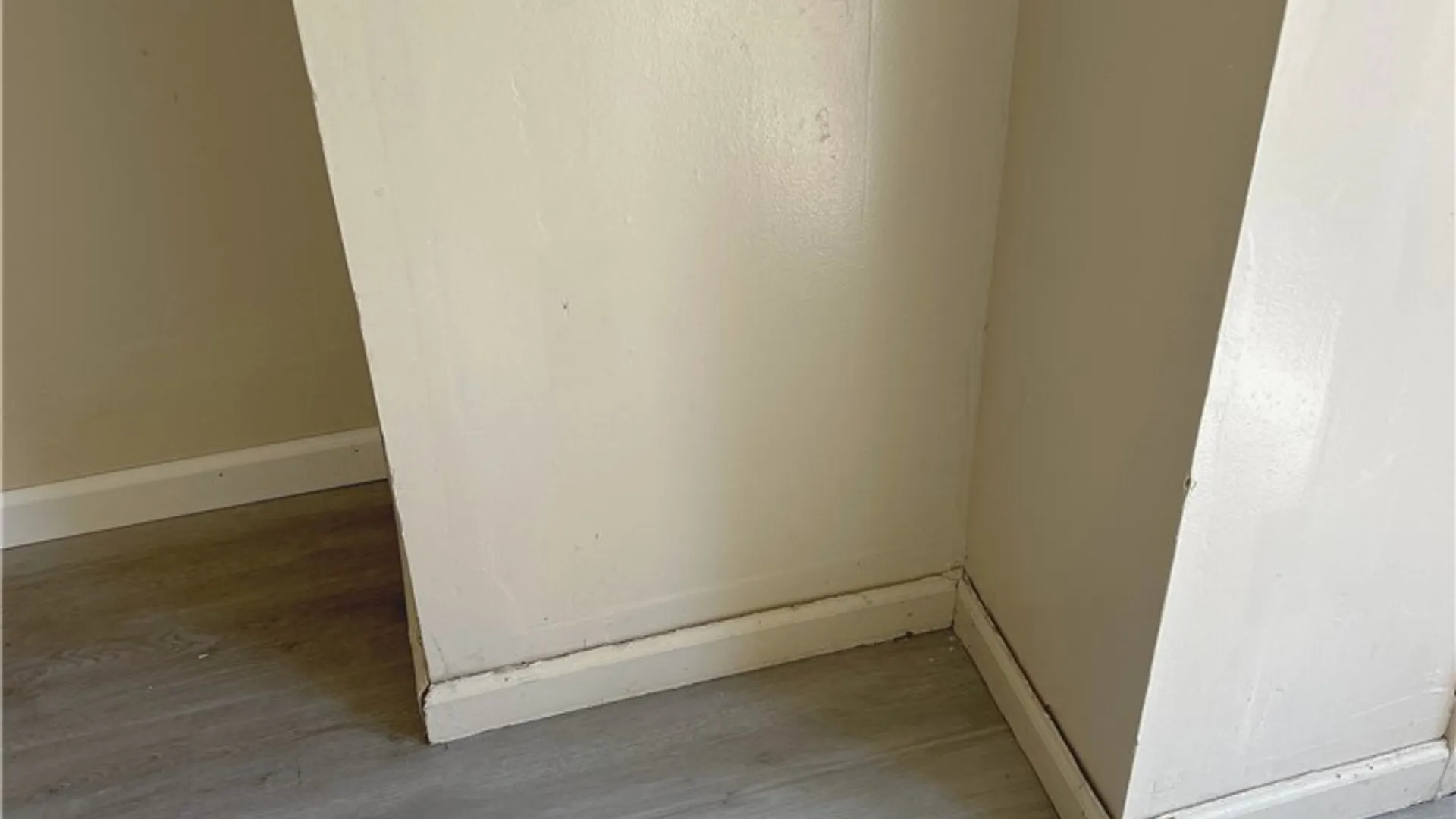 Property at 246 Carl Street, Buffalo, NY 14215 3