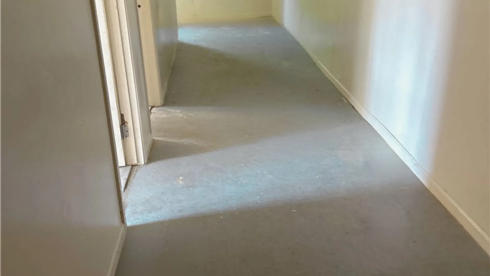 Property at 246 Carl Street, Buffalo, NY 14215 6