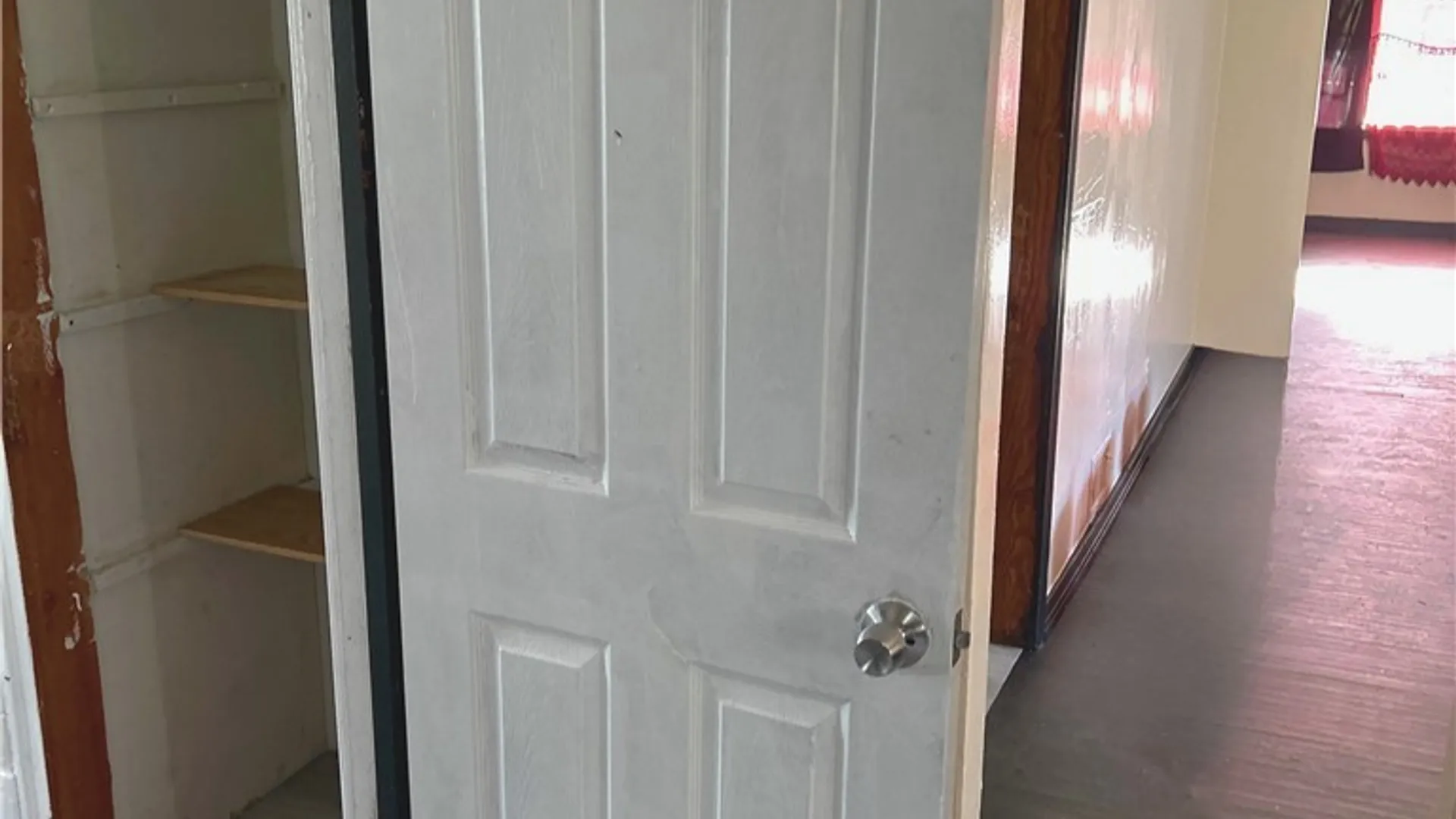 Property at 246 Carl Street, Buffalo, NY 14215 8