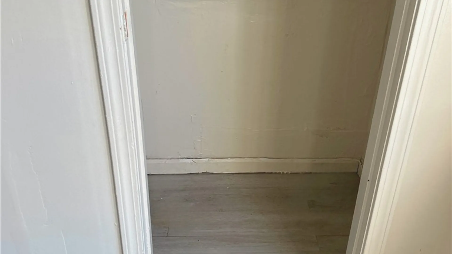 Property at 246 Carl Street, Buffalo, NY 14215 9