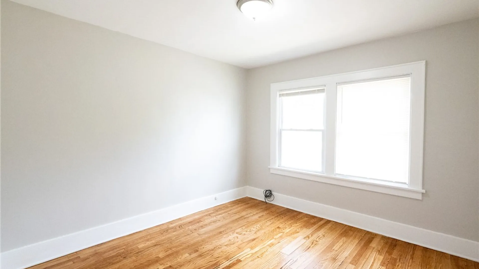 Property at 168 Ellicott Street, Rochester, NY 14619 9