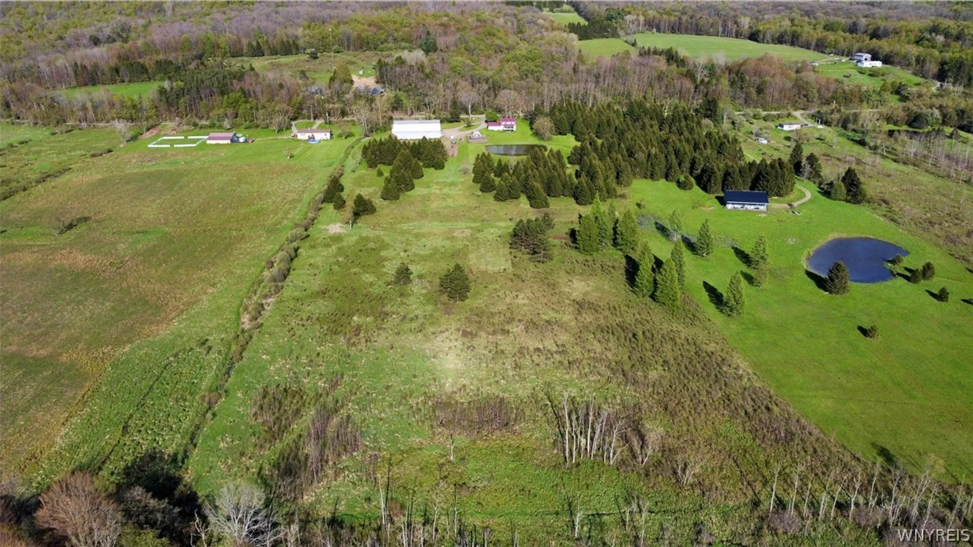 Property at 9511 Utley Road, East Otto, NY 14729 21
