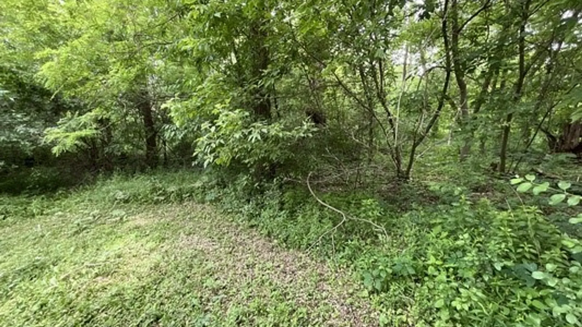 Property at 25265 State Route 3, Pamelia, NY 13601 9