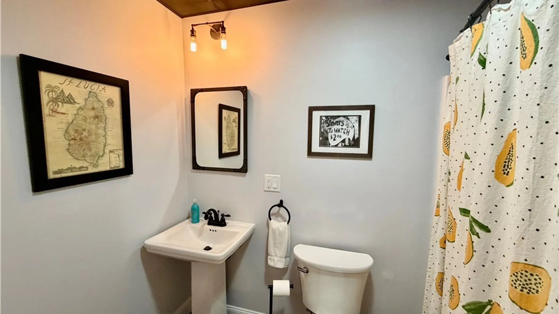 Property at 5 Elizabeth Street, Oswego, NY 13126 44