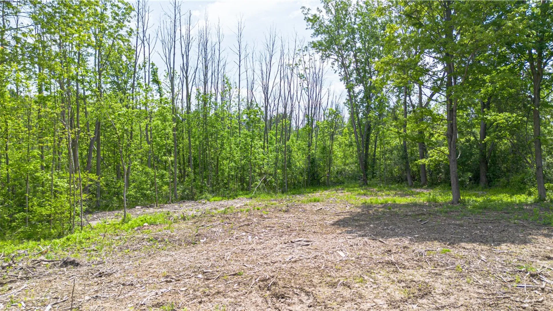 Property at Whitney Road, Perinton, NY 14450 4