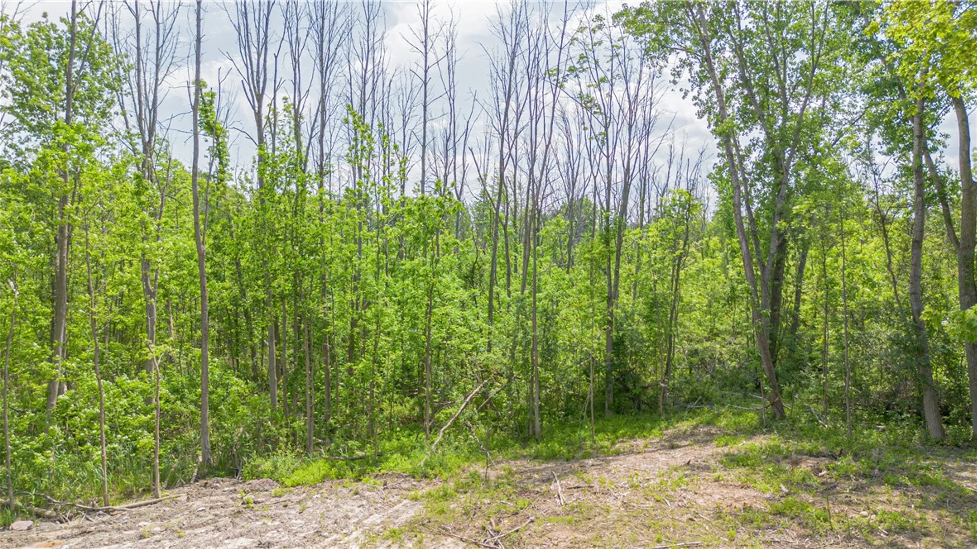 Property at Whitney Road, Perinton, NY 14450 5