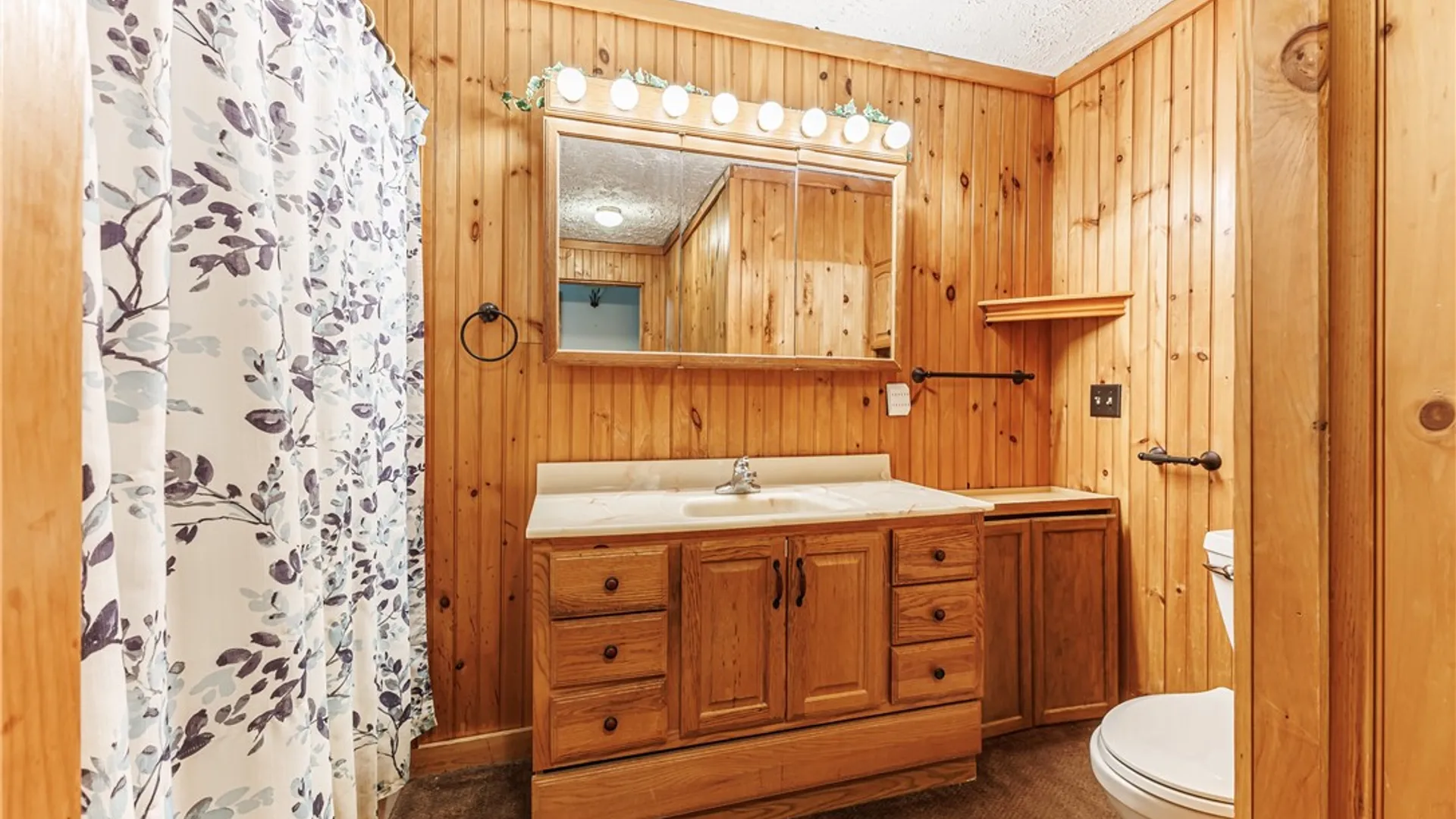Property at 79 Serenity Drive, Waterloo, NY 14456 12